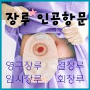 한국장루장애인협회 | 장루 인공 항문 영구장루 임시장루 회장루 결장루 차이 장루 주머니 착용 법 교체시기 세척법 응급...