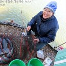 삼성낚시터 | [공지] 수도권 가성비 좋은 대부도바다낚시터 우럭낚시 마릿수 좋네요