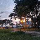 송정솔바람야영장 이미지