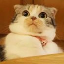 삼성미즈병원 이미지