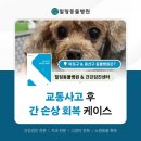 힐링동물병원 &  건강검진센터 이미지