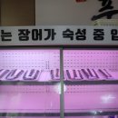 풍경꼼이랑장어랑 이미지