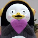 눈사랑안경(남포) 이미지