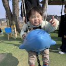 정후농장 네이버블로그