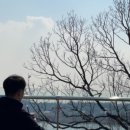 옹기종기왕갈비 이미지