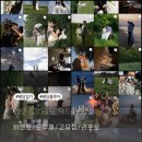 리포토스튜디오