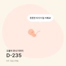 순천365여성의원 이미지