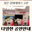 성은수지 이미지