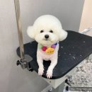 늘, 빛나개 이미지