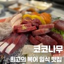 행복한나무집 | [강릉/교동] 추천하는 가성비 최고 숙성회 맛집 일식 코스요리 코코나무 (내돈내산,솔직후기)