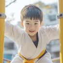 진일태권도 이미지