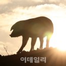 돈다산농장 이미지