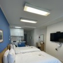 플레아드블랑(PLEA DE BLANC) 이미지