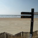 태안바다 이미지