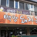 백양돼지국밥 이미지