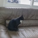 별세차장 이미지