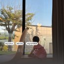 동그리펜션 이미지