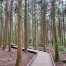 힐링코스 이미지