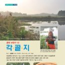각골지 이미지