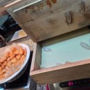 펠리체빈 이미지