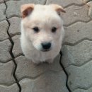 문강농장 이미지