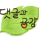 쌍용탑공인중개사사무소 이미지