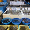 하나로마트 묵호농협 평릉점 이미지