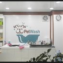 서면펫살롱 이미지