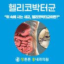 장튼튼홍내과의원 | 보령 헬리코박터균 증상과 검사, 보령시 장튼튼홍내과에서 확인하세요