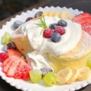 피크니크호텔 이미지