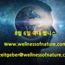 2024년 8월 6일 국내 웰니스 뉴스