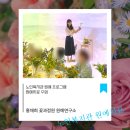 생각꽃연구소 이미지
