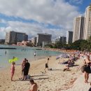 와이키키 이미지