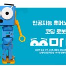 케이티티칼