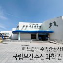 부산과학관 지하층 | 부산 실내 아이랑 가볼만한 곳 [부산국립수산과학관] 아쿠아리움 리뉴얼 중