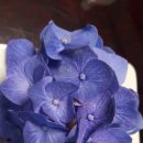 고창군공음보건지소 이미지