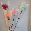 라피오레 이미지