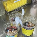 용인 삼가역 메가커피 요거트아이스크림 요거젤라또초코베리믹스 후기