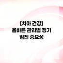 올바른 건강검진법 | [치아 건강] 올바른 관리법 정기 검진 중요성