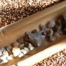 천지밥상 이미지