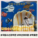 부산 국립수산과학관 용궁사 옆 아이랑 가볼만한곳 방문 후기
