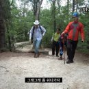 (유)케이에스환경건설 | 관악산 등산 후기 1탄 | 초보자 코스라 믿었던 우리의 최후 (연주대 코스)