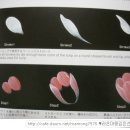 피어니 이미지