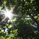 계곡의아침 이미지