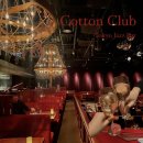 도쿄재즈바 긴자 코튼클럽 디너 코스 후기 Cotton Club