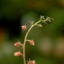 우혁농장 이미지