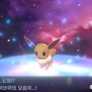 썬더