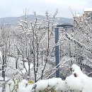 웰빙타운 이미지