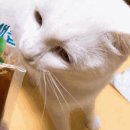 우리건강원