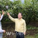 순천-13호 이미지